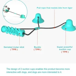 DOWNYPAWS - Jouet interactif à mâcher pour chien: balle de broyage des dents avec ventouse, nettoyage des dents