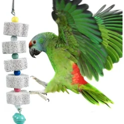 DOWNYPAWS - Jouet mâcher perroquet lot 2 avec cloche