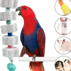 DOWNYPAWS - Jouet mâcher perroquet lot 2 avec cloche