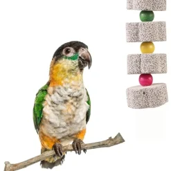 DOWNYPAWS - Jouet mâcher perroquet lot 2 avec cloche