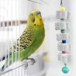 DOWNYPAWS - Jouet mâcher perroquet lot 2 avec cloche