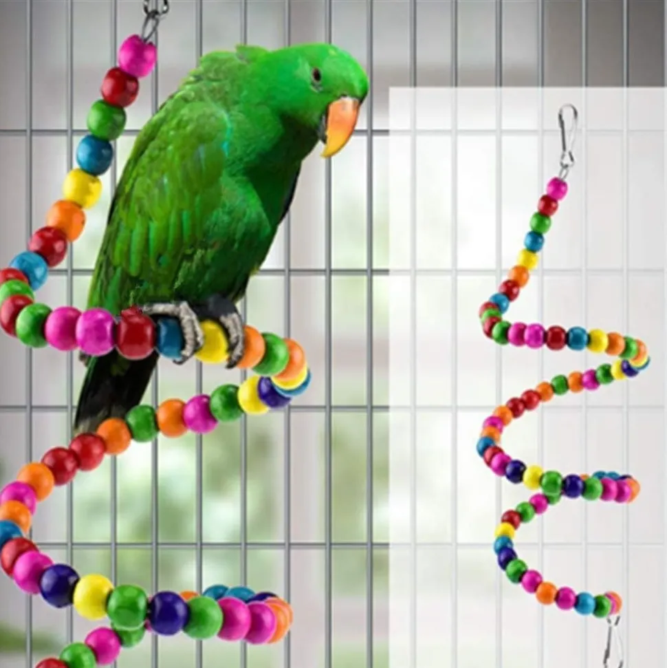 DOWNYPAWS - Jouet oiseau balançoire lot de 6 pièces