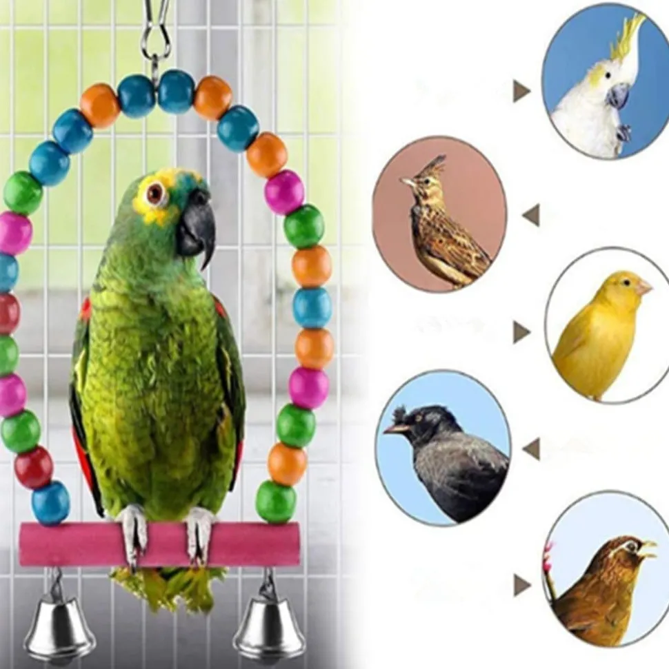 DOWNYPAWS - Jouet oiseau balançoire lot de 6 pièces