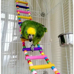 DOWNYPAWS - Jouet oiseau balançoire lot de 6 pièces