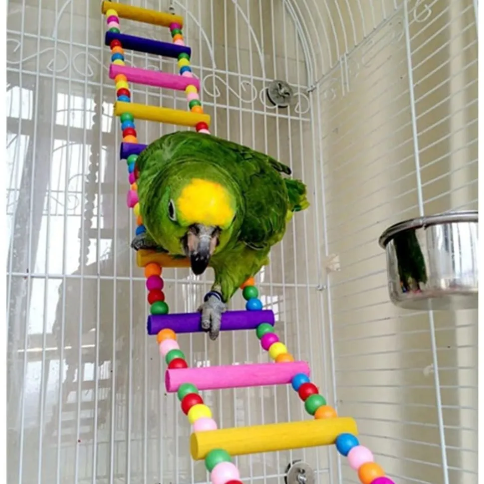 DOWNYPAWS - Jouet oiseau balançoire lot de 6 pièces