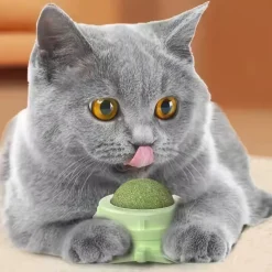 DOWNYPAWS - Jouet pour chat en boule d'herbe à chat : nettoyage des dents artefact à mâcher collable au mur