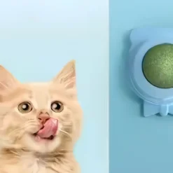 DOWNYPAWS - Jouet pour chat en boule d'herbe à chat : nettoyage des dents artefact à mâcher collable au mur
