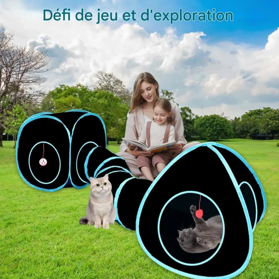 DOWNYPAWS - Jouet tunnel tente pour chatpliable