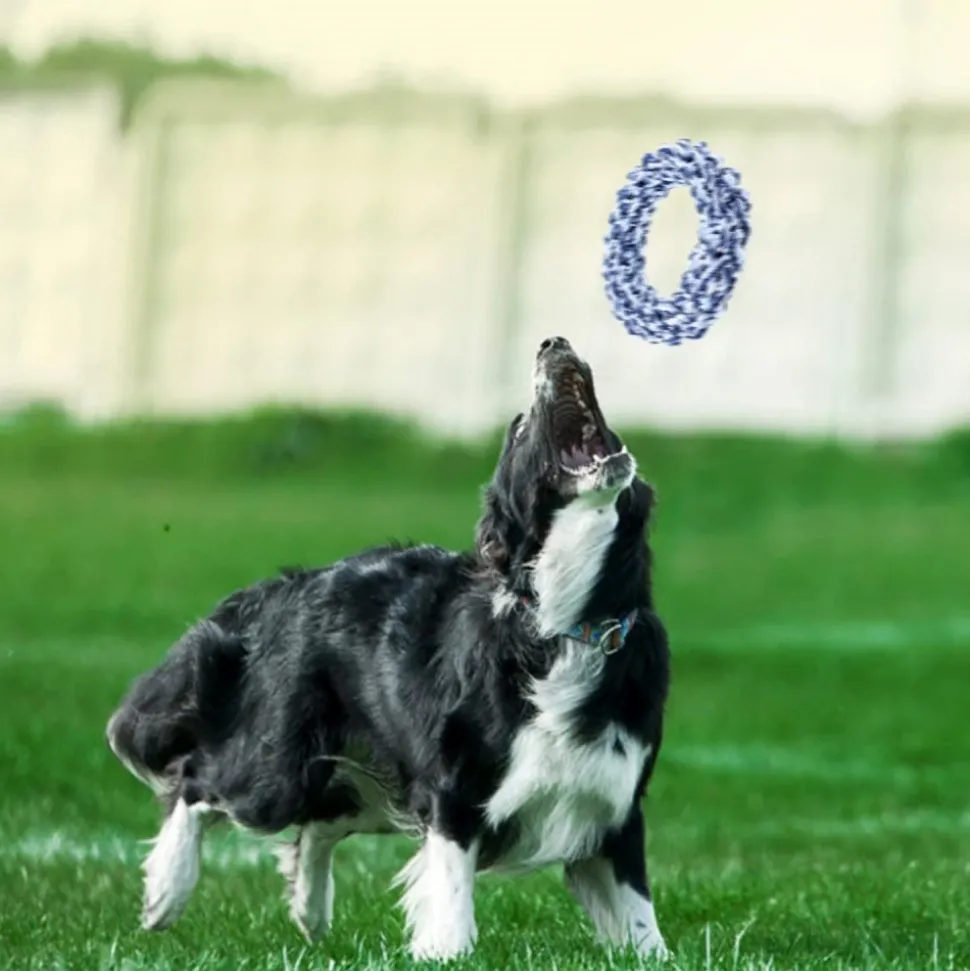 DOWNYPAWS - Jouets à mâcher pour chiens-jouet dentaire avec corde pour chien