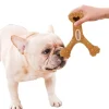 DOWNYPAWS - Jouets à mâcher pour chiens-en forme d'osen forme d'os-bon pour la santé dentaire