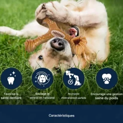 DOWNYPAWS - Jouets à mâcher pour chiens-en forme d'osen forme d'os-bon pour la santé dentaire