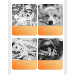 DOWNYPAWS - Jouets à mâcher pour chien en forme d'anneau jouets interactifs