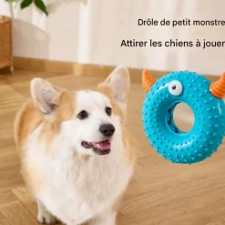 DOWNYPAWS - Jouets à mâcher pour chien en forme d'anneau jouets interactifs