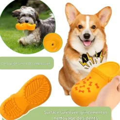 DOWNYPAWS - Jouets à mâcher pour chien- chaussons jouets interactifs pour nettoyer les dents-orange
