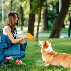 DOWNYPAWS - Jouets à mâcher pour chien- chaussons jouets interactifs pour nettoyer les dents-orange