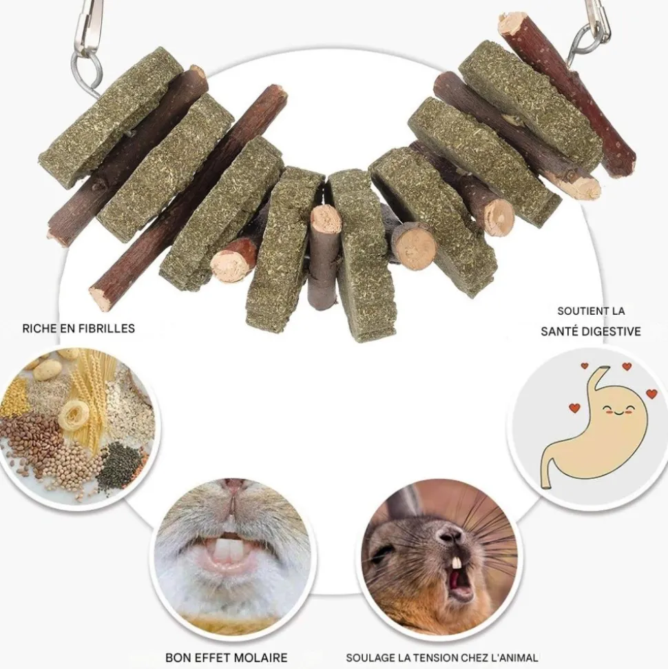 DOWNYPAWS - Jouets à mâcher - 2 pièces branches de pommier naturel