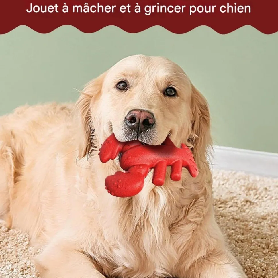 DOWNYPAWS - Jouets à mâcher pour chiens en forme de homard -13.2*5.7*17cm