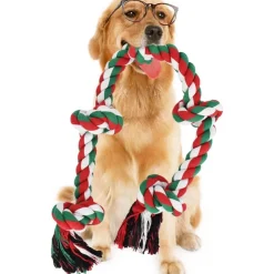 DOWNYPAWS - Jouets de tir à la corde