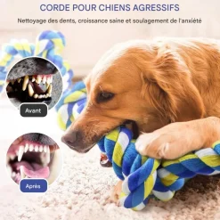 DOWNYPAWS - Jouets de tir à la corde