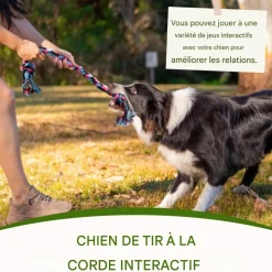 DOWNYPAWS - Jouets de tir à la corde