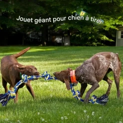 DOWNYPAWS - Jouets de tir à la corde