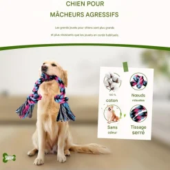 DOWNYPAWS - Jouets de tir à la corde