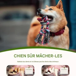 DOWNYPAWS - Jouets de tir à la corde