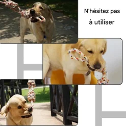 DOWNYPAWS - Jouets en corde, corde de 40 cm pour chiens de petite et moyenne taille, jouet durable à mâcher et nettoyant les dents