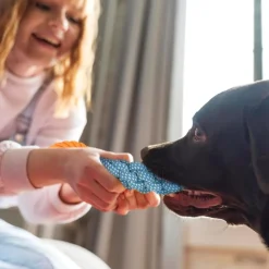 DOWNYPAWS - Jouets en corde, jouets de tir à la corde atténuation de l'anxiété, matériau durable, bonne dimension, conception fonctionnelle