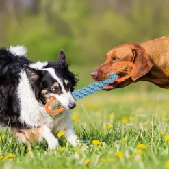 DOWNYPAWS - Jouets en corde, jouets de tir à la corde atténuation de l'anxiété, matériau durable, bonne dimension, conception fonctionnelle