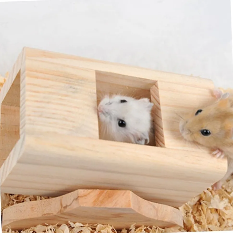 DOWNYPAWS - Jouets pour hamsters avec boîtes à bascule et aire de jeux d'escalade
