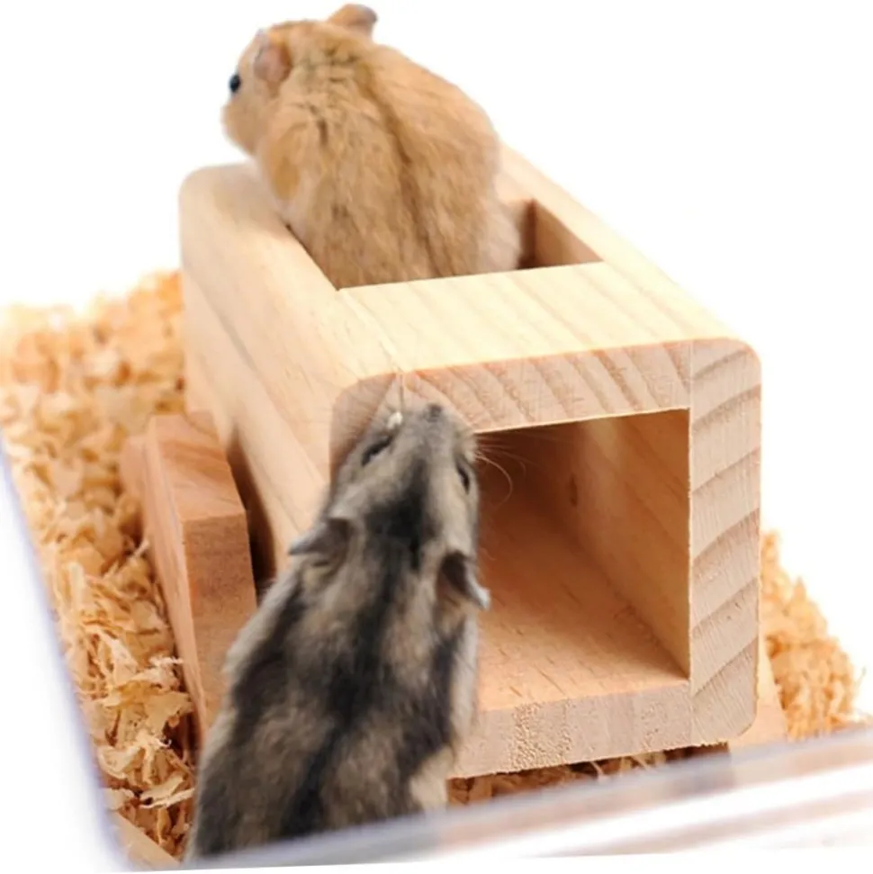 DOWNYPAWS - Jouets pour hamsters avec boîtes à bascule et aire de jeux d'escalade