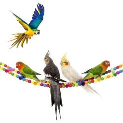 DOWNYPAWS - Jouets pour oiseaux