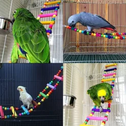 DOWNYPAWS - Jouets pour oiseaux