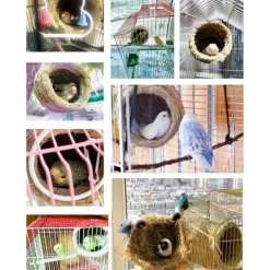 DOWNYPAWS - Jouets pour oiseaux-nid d'oiseau-grand tissé à la main 12,5 cm