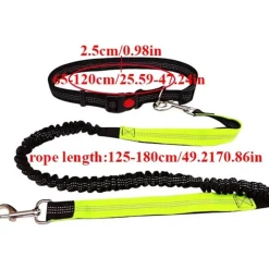 DOWNYPAWS - Laisse chien mains libres gris