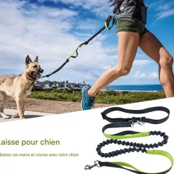DOWNYPAWS - Laisse chien mains libres gris