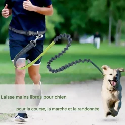 DOWNYPAWS - Laisse chien mains libres gris