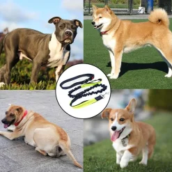 DOWNYPAWS - Laisse chien mains libres gris