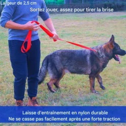 DOWNYPAWS - Laisse de dressage pour chien