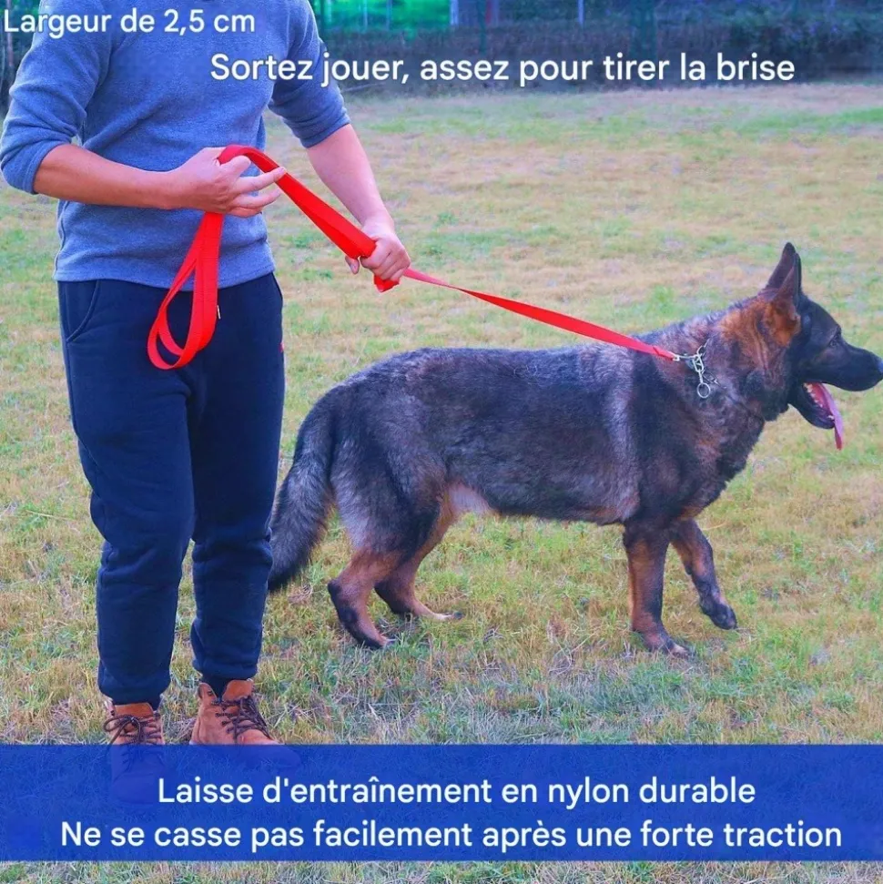 DOWNYPAWS - Laisse de dressage pour chien