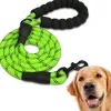 DOWNYPAWS - Laisse de dressage pour chien- vert réfléchissant 1.5m