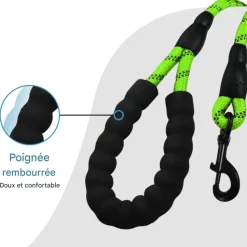 DOWNYPAWS - Laisse de dressage pour chien- vert réfléchissant 1.5m