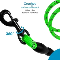 DOWNYPAWS - Laisse de dressage pour chien- vert réfléchissant 1.5m