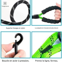 DOWNYPAWS - Laisse de dressage pour chien- vert réfléchissant 1.5m