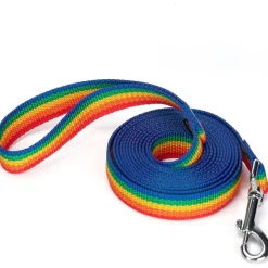 DOWNYPAWS - Laisse de dressage pour chien