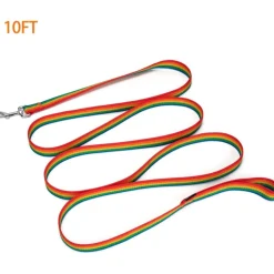 DOWNYPAWS - Laisse de dressage pour chien