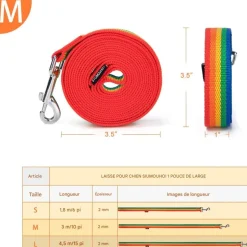 DOWNYPAWS - Laisse de dressage pour chien