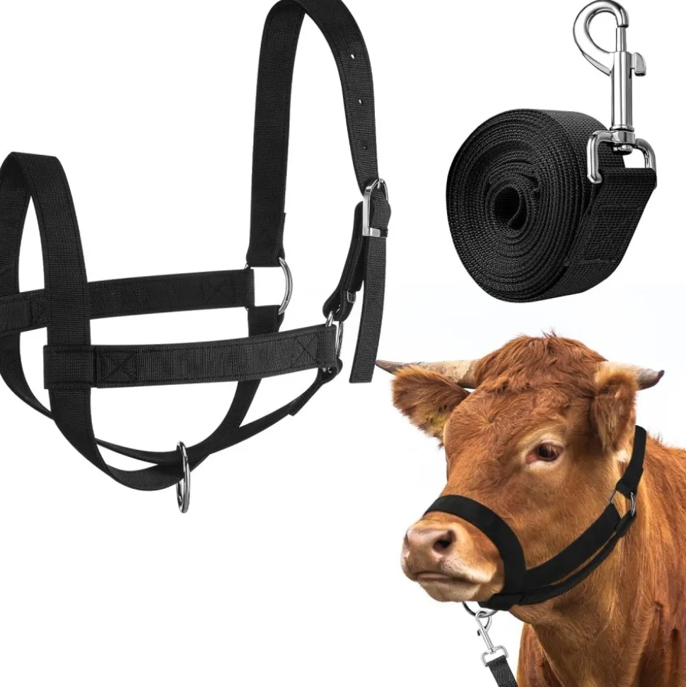 DOWNYPAWS - Laisse de dressage licol pour cheval