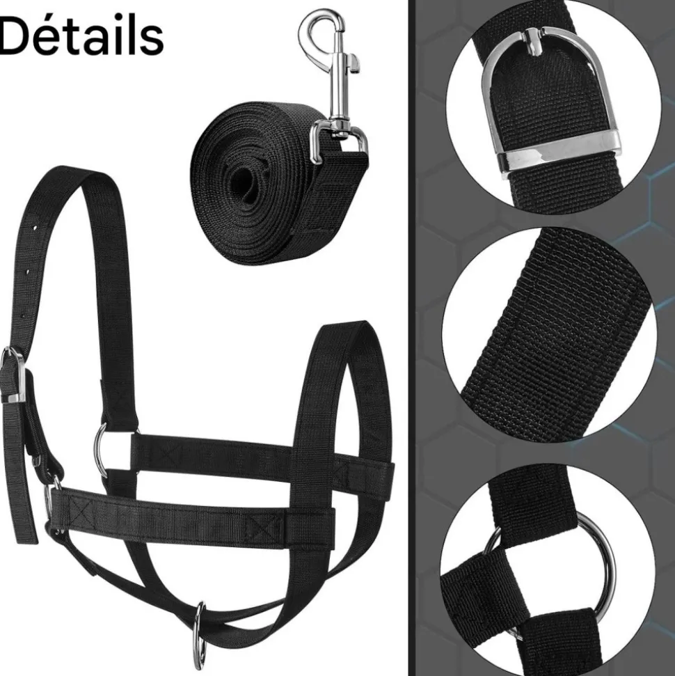 DOWNYPAWS - Laisse de dressage licol pour cheval